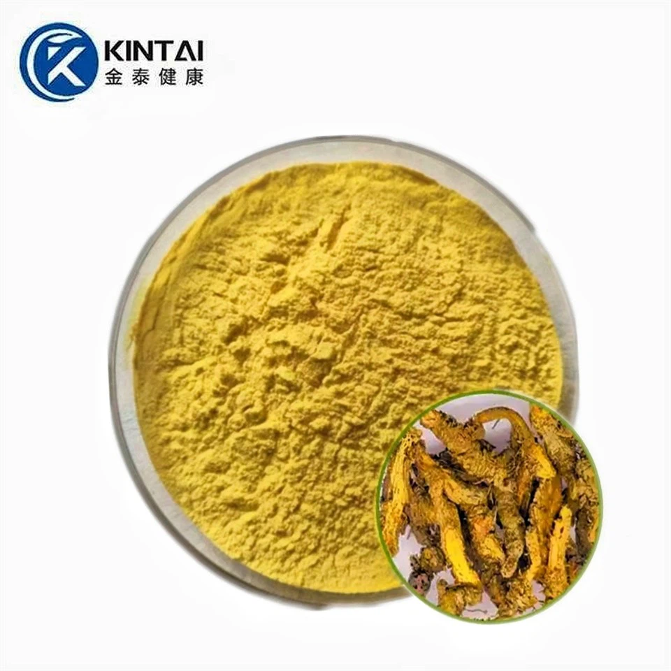 Berberínhýdróklóríðduft