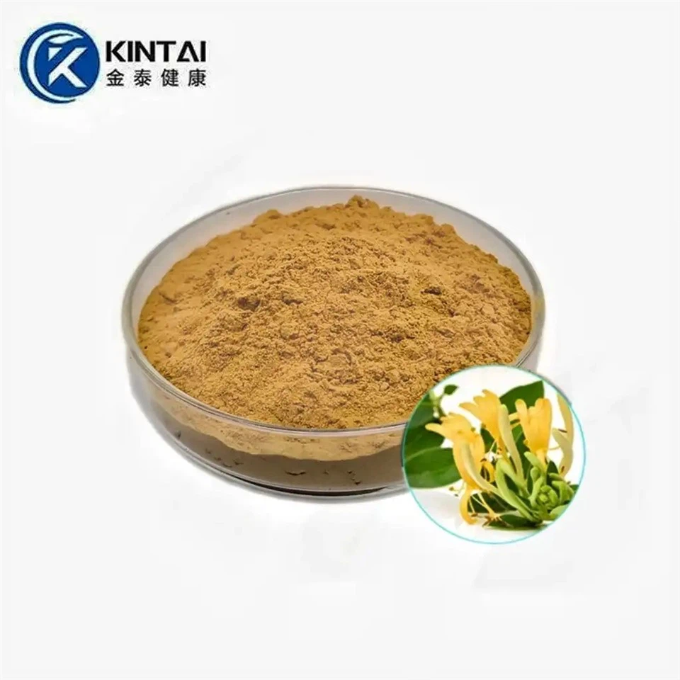 Lonicera Japonica útdráttarduft